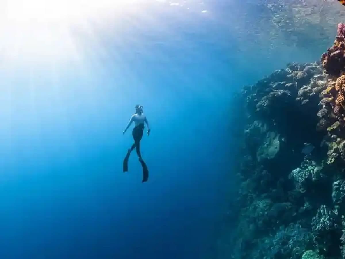 Scuba Guru
